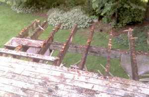 Wood Rot on Pressure Treated Wood Deck