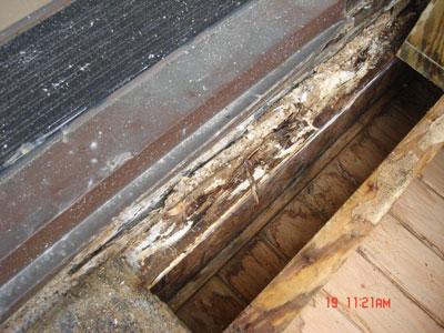 wood rot at door sill